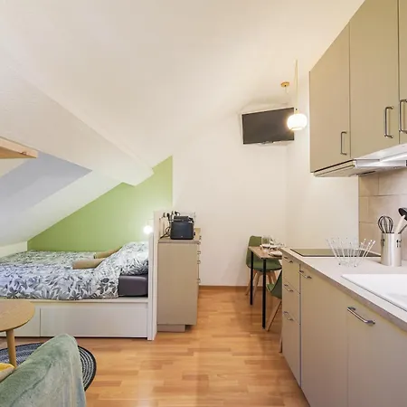 Le Amande - Au Centre-ville De Apartment Grenoble